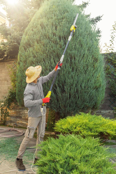 Sand Hill, PA Tree Removal and Landscaping Services Company